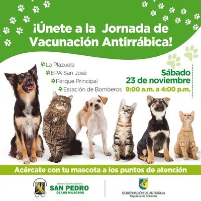 La salud de tu mascota y de todos es nuestra prioridad