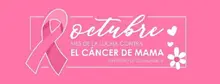 Lucha contra el Cáncer de Seno