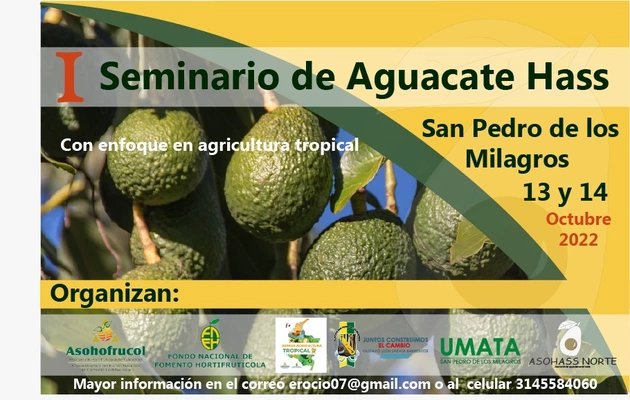 Primer seminario de Aguacate Hass con enfoque en agricultura tropical